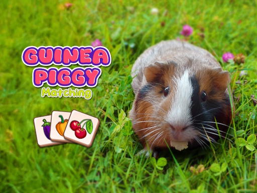 Guinea Piggy Matching Cover